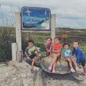 Meet your Posher, Terrie